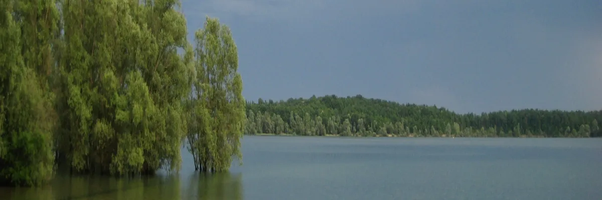 Image Constructeur terrain padel Aube