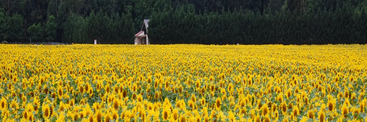 Image Constructeur terrain padel Centre-Val de Loire