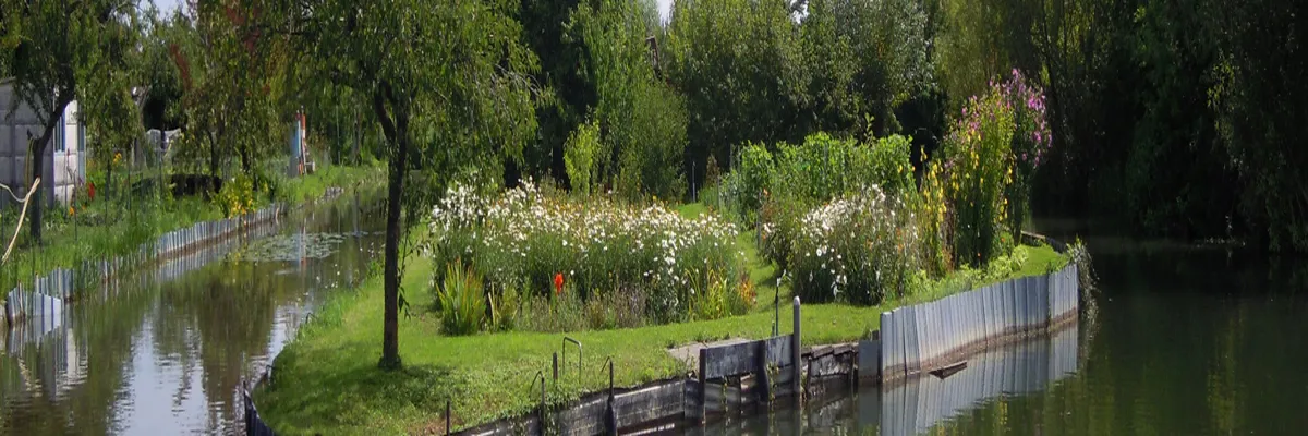 Image Constructeur terrain padel Cher