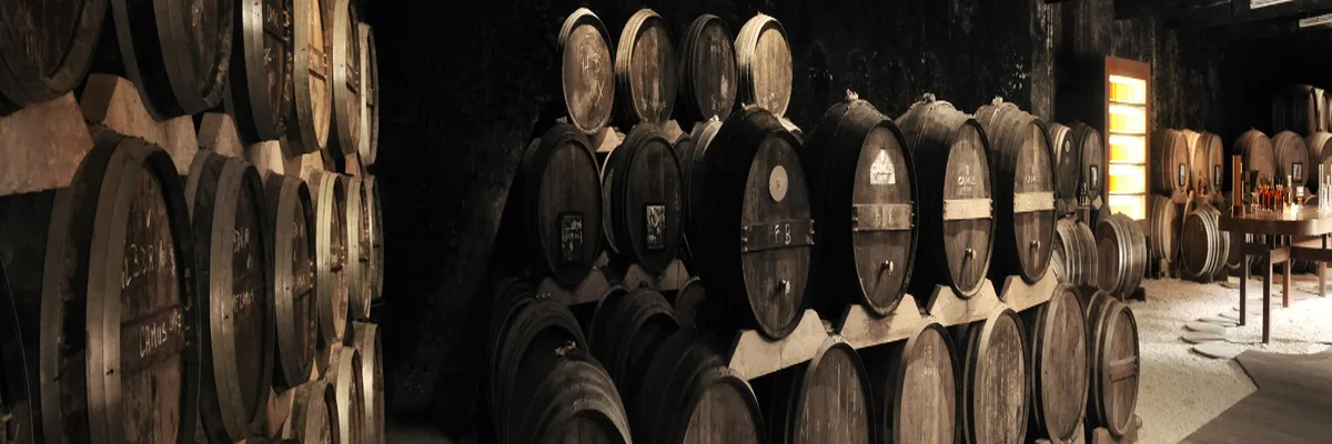 image-constructeur-terrain-padel-cognac.webp Image Constructeur terrain padel Cognac