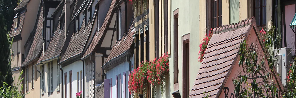 Image Constructeur terrain padel Colmar