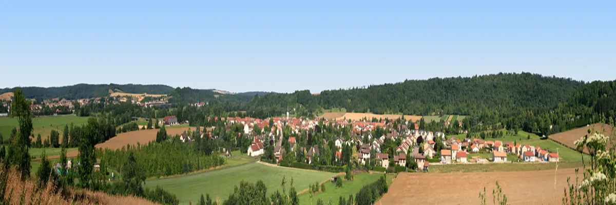 Image Constructeur terrain padel Commercy