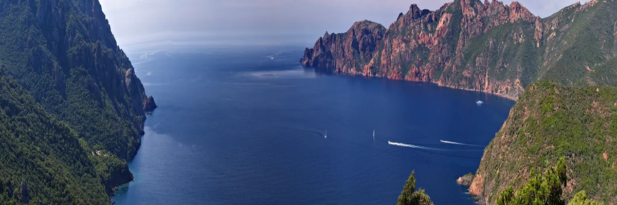 Image Constructeur terrain padel Corse-du-Sud