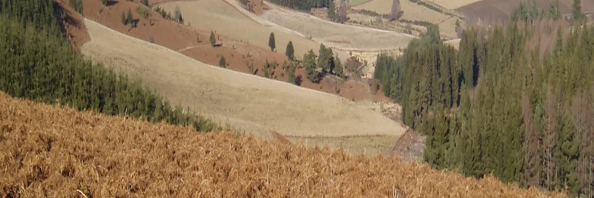 Image Constructeur terrain padel Creuse