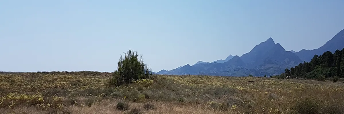 Image Constructeur terrain padel Elne