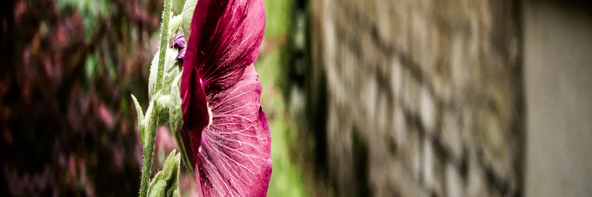 image-constructeur-terrain-padel-eragny.webp Image Constructeur terrain padel Éragny