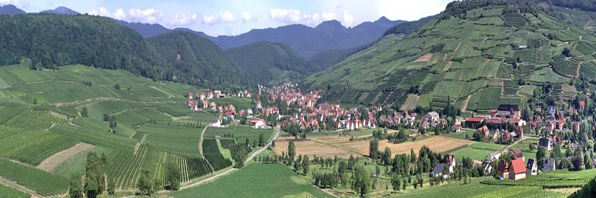 Image Constructeur terrain padel Grand Est