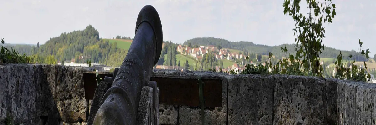 Image Constructeur terrain padel Gray