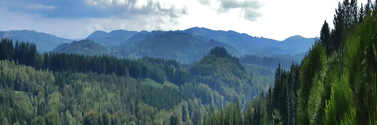 Image Constructeur terrain padel Haute-Vienne