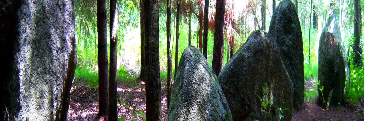 Image Constructeur terrain padel Languidic