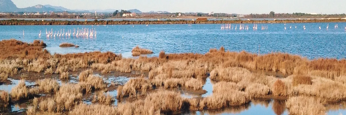 Image Constructeur terrain padel Lattes