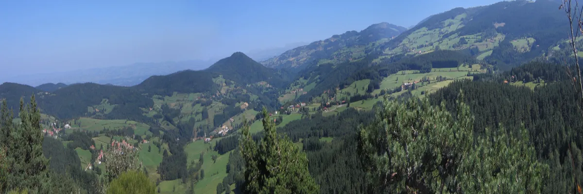 Image Constructeur terrain padel Loire