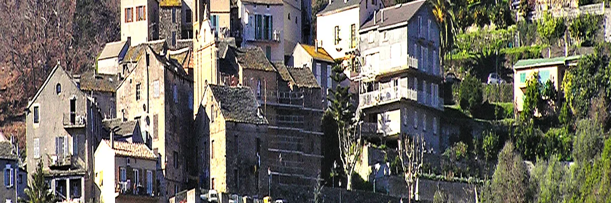 Image Constructeur terrain padel Lucciana