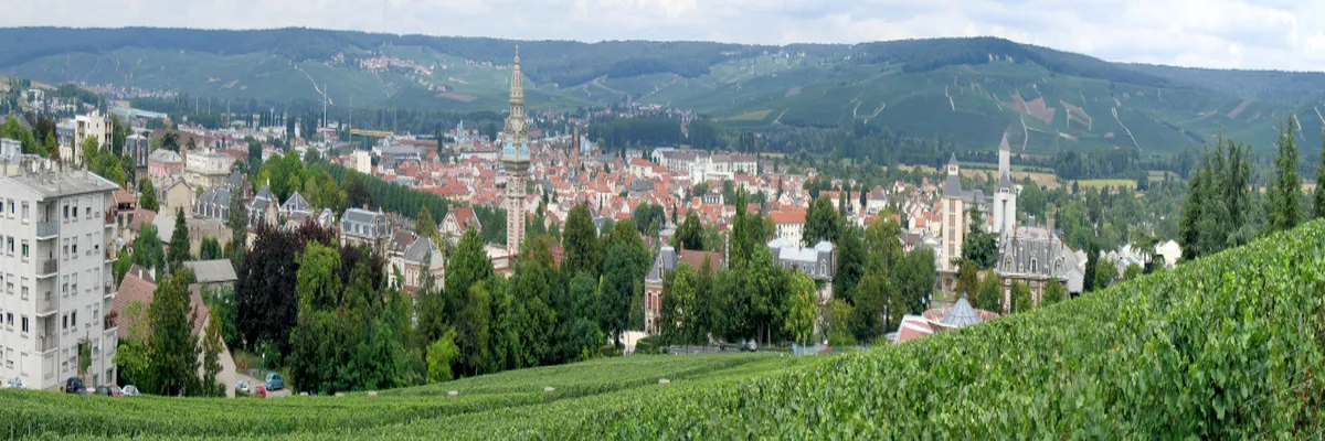 Image Constructeur terrain padel Marne