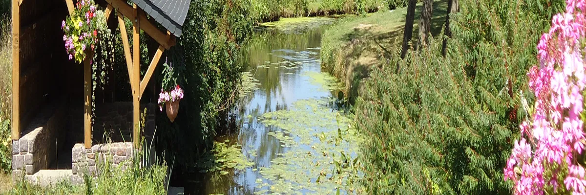 image-constructeur-terrain-padel-montfort-sur-meu.webp Image Constructeur terrain padel Montfort-sur-Meu