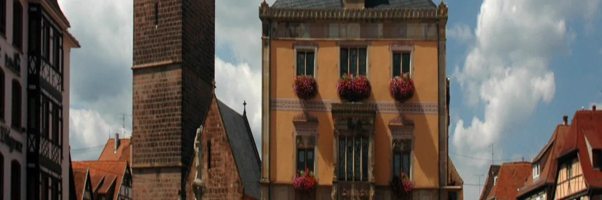 Image Constructeur terrain padel Obernai