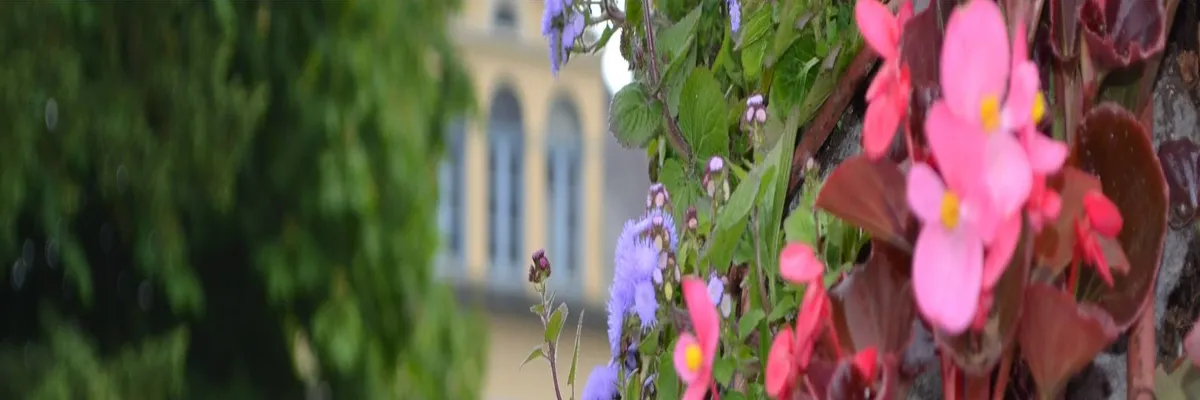 Image Constructeur terrain padel Saint-Étienne-au-Mont