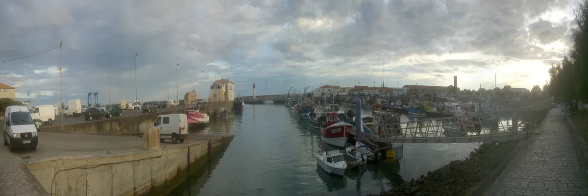 Image Constructeur terrain padel Saint-Pierre-d'Oléron