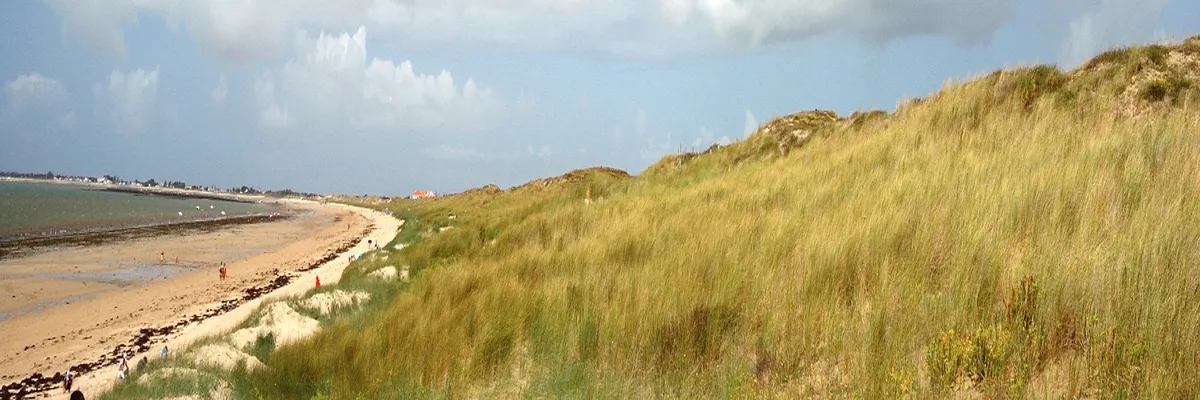 Image Constructeur terrain padel Vendée