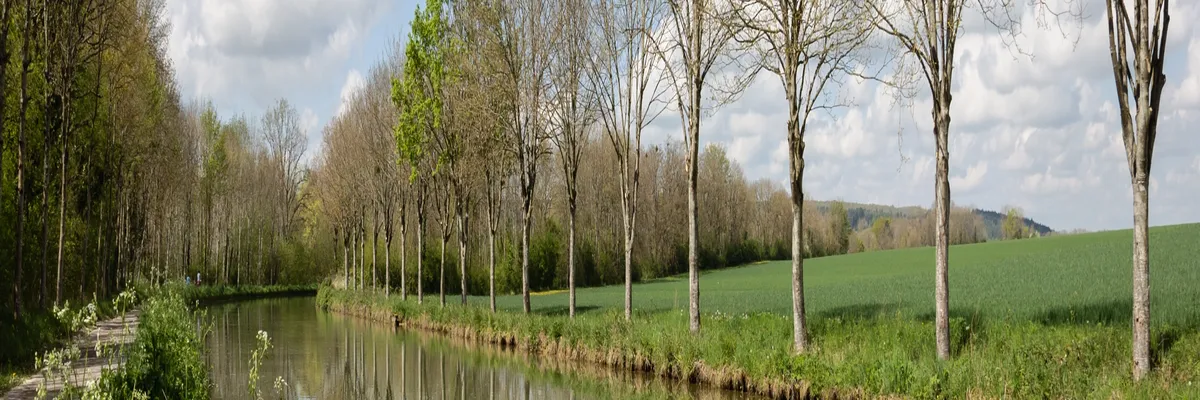 Image Constructeur terrain padel Yonne