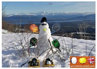 Image de Fabien LEVI Professeur de Tennis, Padel, Pickleball et Sport