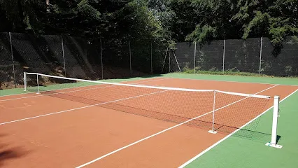 Image de Tennis Maintenance