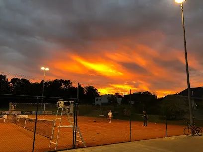 Image de Tennis Padel Courtedoux