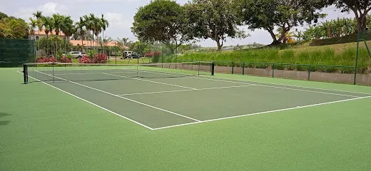 Image de TERRES DE SPORTS