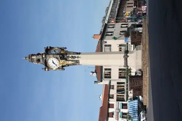 Fabricant Padel Constructeur terrain padel Tassin-la-Demi-Lune